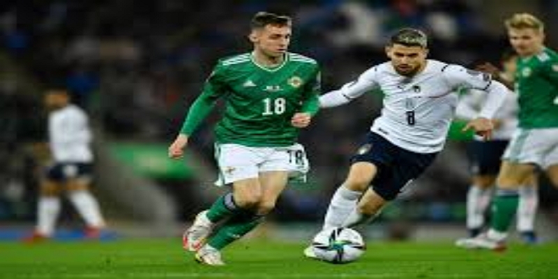 防守韧性：开云体育评爱尔兰的亮点之一  -开云体育