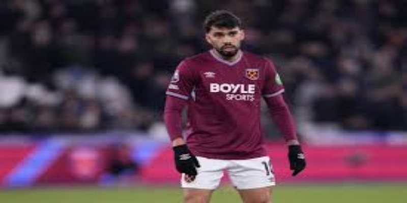 伯奇的职业路径—从球员到管理专家 -开云体育